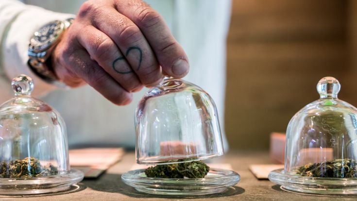 Dagli avvocati ai pensionati, i fan della cannabis light: "Aiuta contro ansie e dolori"