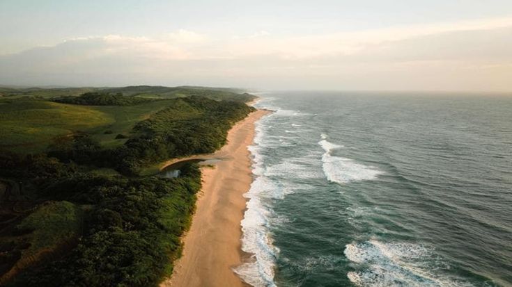 Sudafrica, surf e safari. Una vacanza con i piedi nell’Oceano Indiano e lo sguardo verso la savana