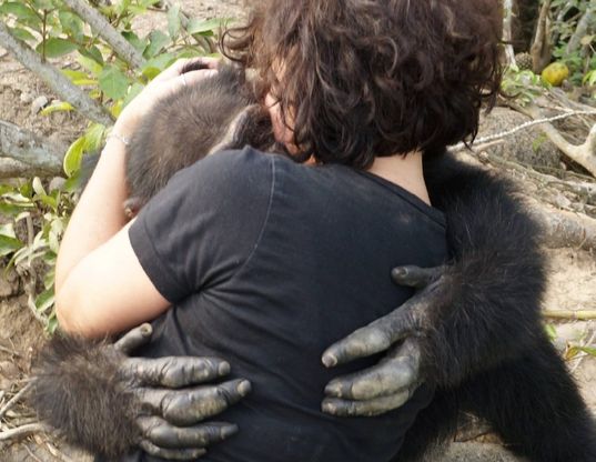 L'abbraccio di Ponso, lo scimpanzè più solo del mondo