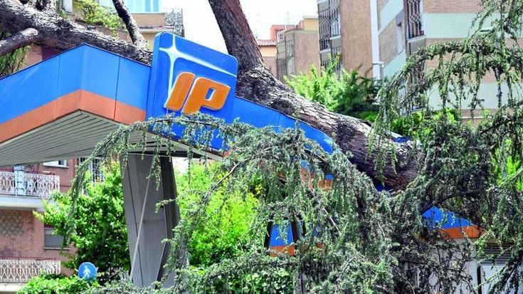 Roma travolta dalla tromba d’aria: alberi crollati, mercato distrutto e traffico in tilt