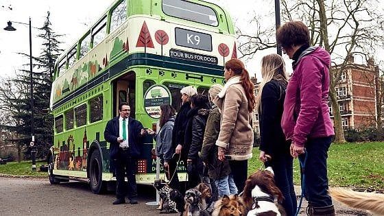 A Londra il primo city bus tour "riservato" ai cani