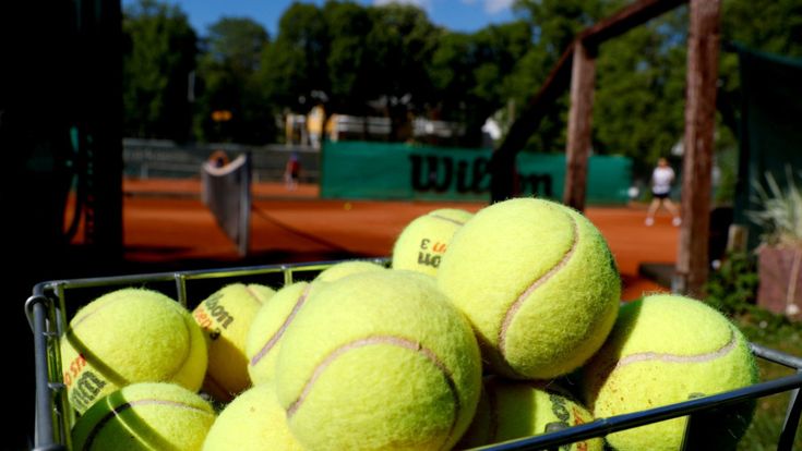  Il coach di Berrettini: "Tennis al via ma senza mascherine"