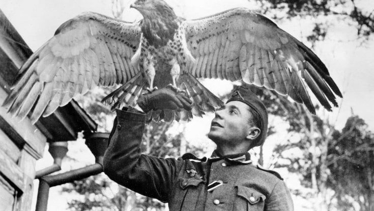 Quelle belve dei nazisti amavano gli animali
