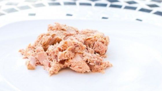 Reggio Emilia, preso il ladro delle scatolette di tonno: era l'addetto alle pulizie 