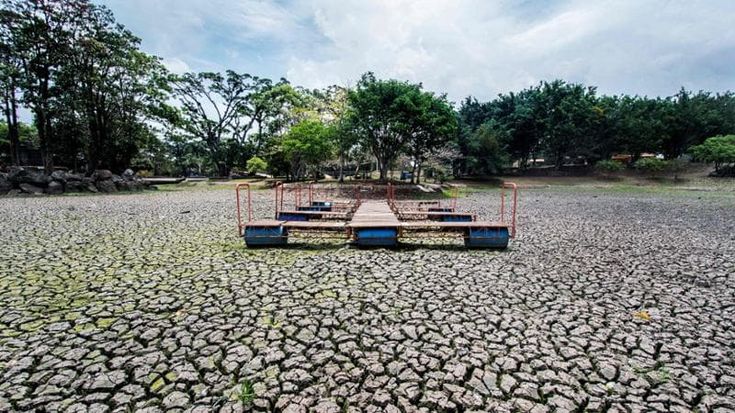 L’Onu conferma l’arrivo di El Niño: “Acque più calde già di 6 gradi”. Causerà siccità e alluvioni