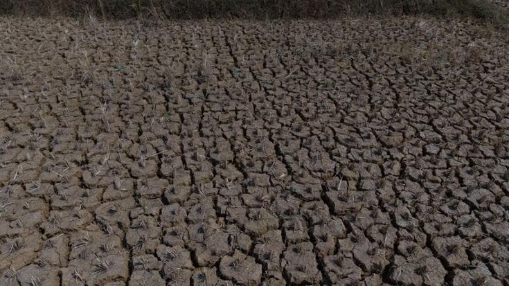 Tavoni: “Per il clima affondano edilizia e agricoltura, danni per 50 miliardi”