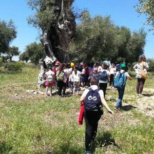 I bambini del Gargano donano un ulivo a papa Francesco: sarà piantato ai Giardini vaticani