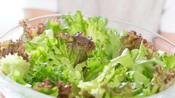 Insetti, capelli e mozziconi infilati nelle buste dell'insalata: 24 operai indagati a Rimini