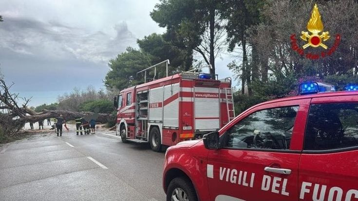 Maltempo, in Salento crollano alberi. Fulmine incendia il tetto di una casa: in salvo 4 persone