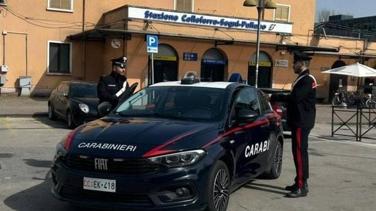Colleferro, uccide a calci Cesare, il gatto mascotte dei pendolari: denunciato