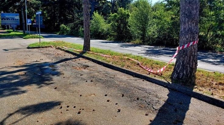 Trovato morto in un parcheggio a Castellanza, ucciso con diversi colpi di pistola