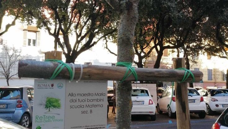 Prati green, tornano a crescere gli alberi in via Sabotino