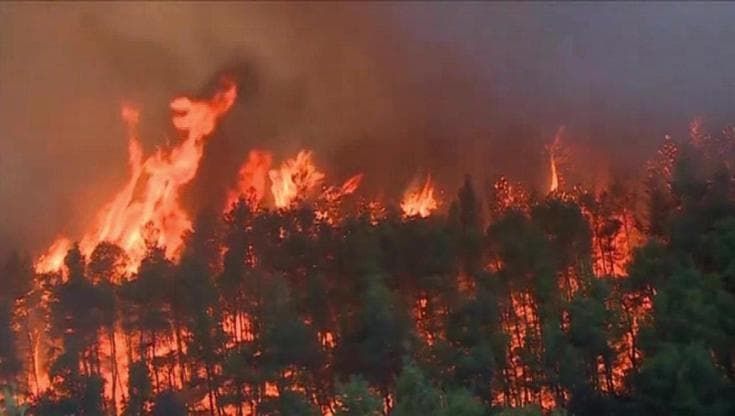 L'Onu: "Il mondo è in pericolo, El Niño ha proporzioni gigantesche"