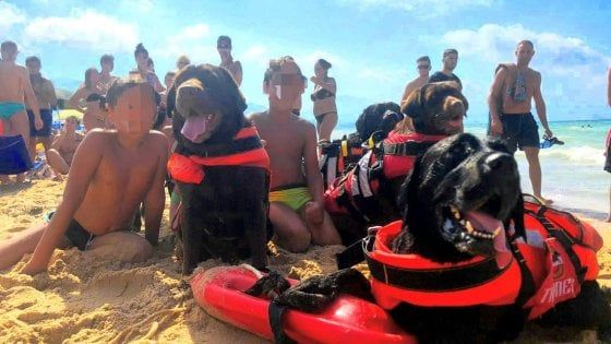 Trapani, tre bambini salvati in mare dai cani bagnini