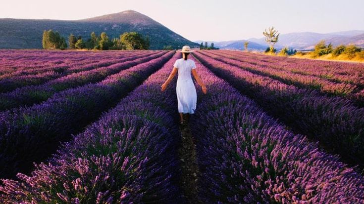Piano B, la storia di Clara: “Lavoravo nell’alta moda. Ora vivo in un piccolo mondo fatto di fiori”