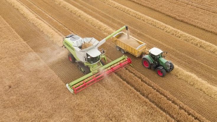 Le polizze parametriche verso il raddoppio in 10 anni