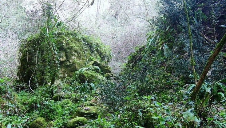 Caccia alla prossima pandemia, parte dall'Africa la sfida al virus X
