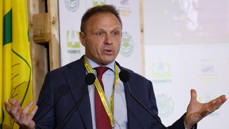 Il governo pronto a cancellare la parola "razza" nella Pa: cambio di rotta dopo il caso Lollobrigida