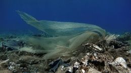 I lidi pugliesi tornano ad essere 'plastic free': sospeso il provvedimento del Tar