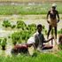 Africa, lo sviluppo che non giova: investimenti privati che impoveriscono i piccoli produttori locali