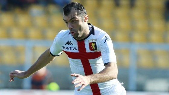 Serie A, due turni di stop per Pandev e Maksimovic. Multa a Percassi