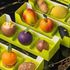 Frutta realistica, ecco i segreti per scoprire la vera artigianalità