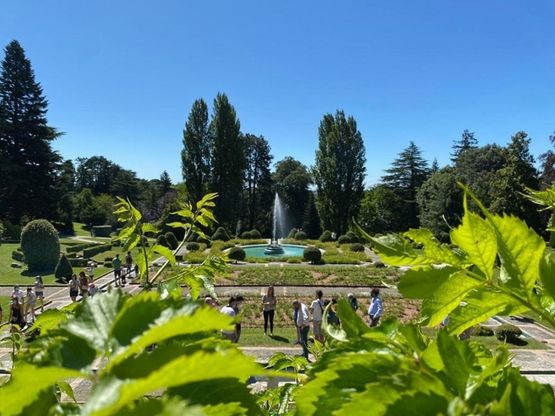 Varese, la magia dei giochi d'acqua nelle fontane appena restaurate del giardino di Villa Toeplitz