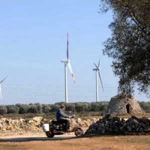 Brindisi, parco eolico Enel tra gli ulivi monumentali: tra  gli 11 indagati, ci sono anche quattro dirigenti regionali