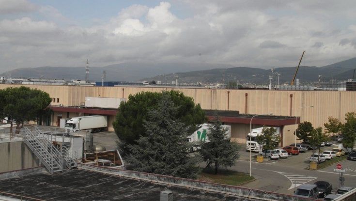 Il piano del sindaco di Firenze: un milione di piante per rendere più fresche le “isole di calore