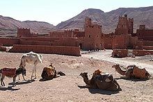 Dall'Africa i vostri scatti