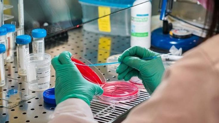 Morbillo, nel Lazio 54 casi in cinque mesi: allarme sulla seconda dose, copertura ferma al 77,8%