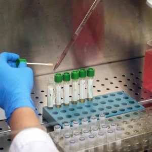 Coronavirus, i deceduti in Liguria salgono a 9, uno in più di ieri