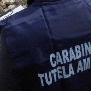 Nel Casertano rifiuti edili utilizzati per riempire strade
