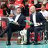Volley, Piacenza vuole sbloccarsi. Giuliani: ''Ma la vicenda Marshall ci penalizza''