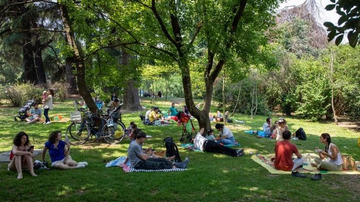 La cura verde per il clima: arrivano 32 mila nuovi alberi che resistono a siccità e vento