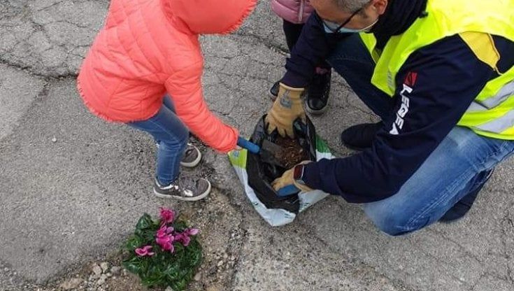 Potenza, fiori al posto delle buche stradali: la protesta silenziosa delle aree rurali