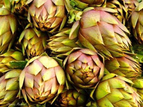 Estratto di carciofi nuova possibile arma contro mesotelioma