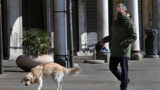 Coronavirus,  i cani ci conoscono dentro e fuori casa fiutano l’emergenza