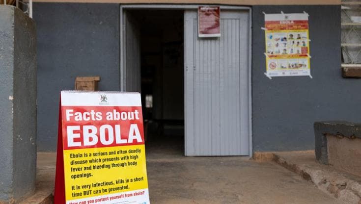 Oms, tra Ebola e hantavirus il mondo è più vulnerabile alle pandemie