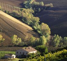 I paesaggi di Pericoli