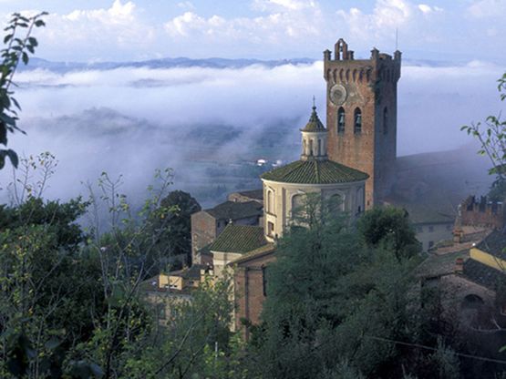 Colli, torri e tartufi di San Miniato