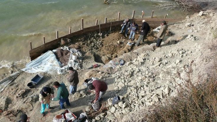 “Scoperta nel 2000 e dimenticata per anni”: spunta un’altra verità sulla balena Giuliana a Matera
