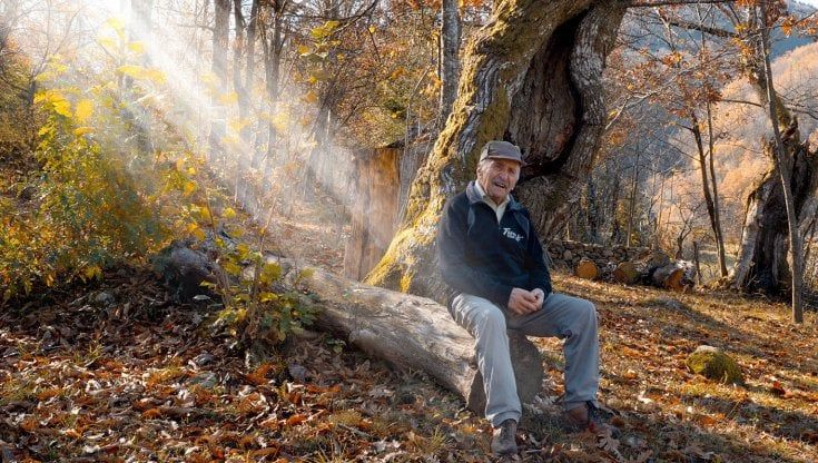 Radici di Bosco: viaggio in appennino per riscoprire la memoria collettiva 