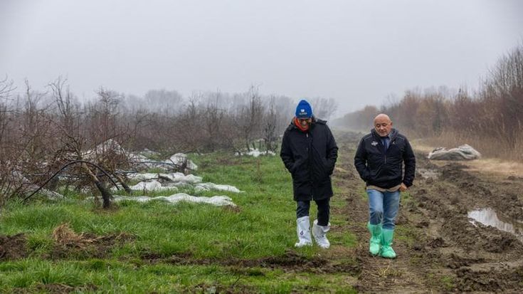Alluvione, viaggio tra le cooperative agricole della Romagna: “Dallo Stato neanche un euro”