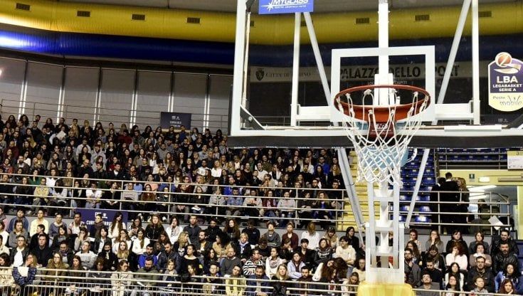 Insulti razzisti all'arbitro nell'incontro di basket