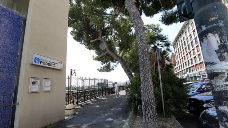 Quelle piante che ci aiutano a vivere