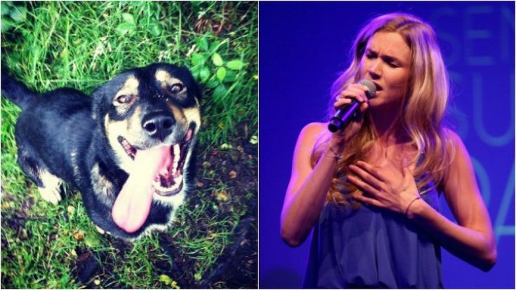Joss Stone annulla concerti per stare vicino a cane malato: "Missy per me è tutto"