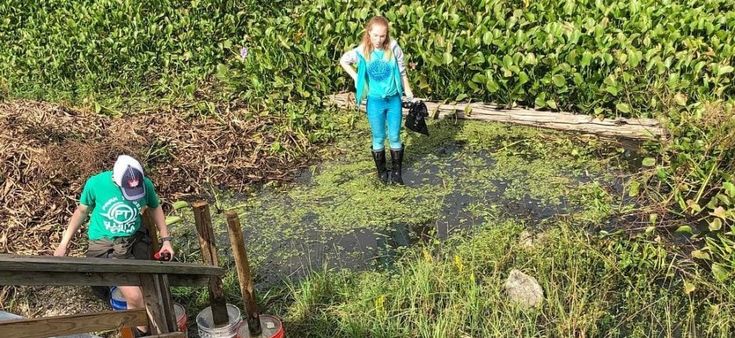 A scuola di cambiamenti climatici: l'esperimento dei liceali di New Orleans