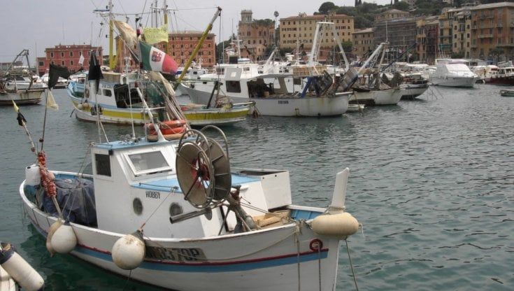 Liguria, caro gasolio e limiti alla pesca del gambero: i pescherecci minacciano il fermo