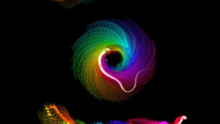 La scienziata: "La mia scoperta sull'infertilità maschile grazie all'amore per la fotografia" 